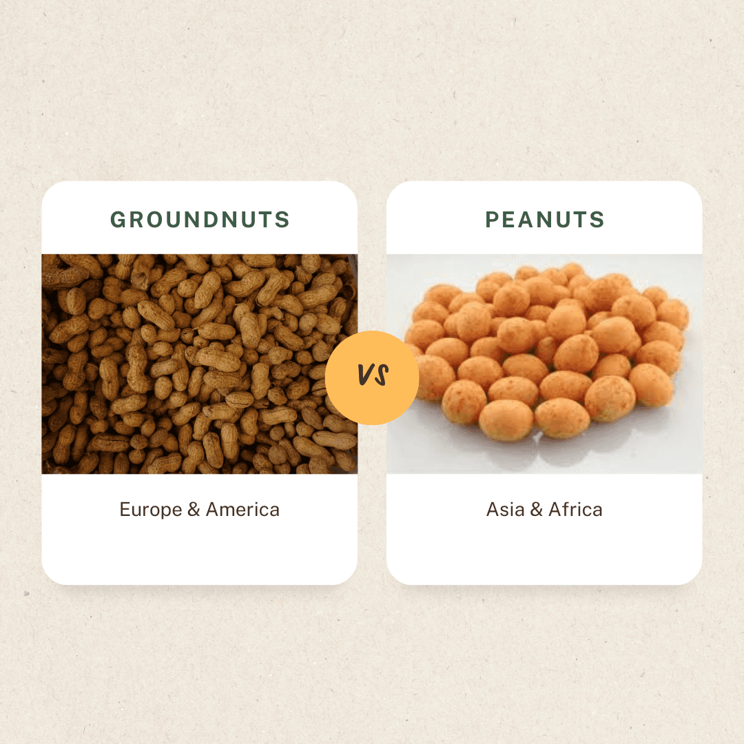 Groundnut or Peanut? A Snack and Legume Name Mixup