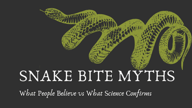 Article Snakebite Myths: What People Believe vs What Science Confirms